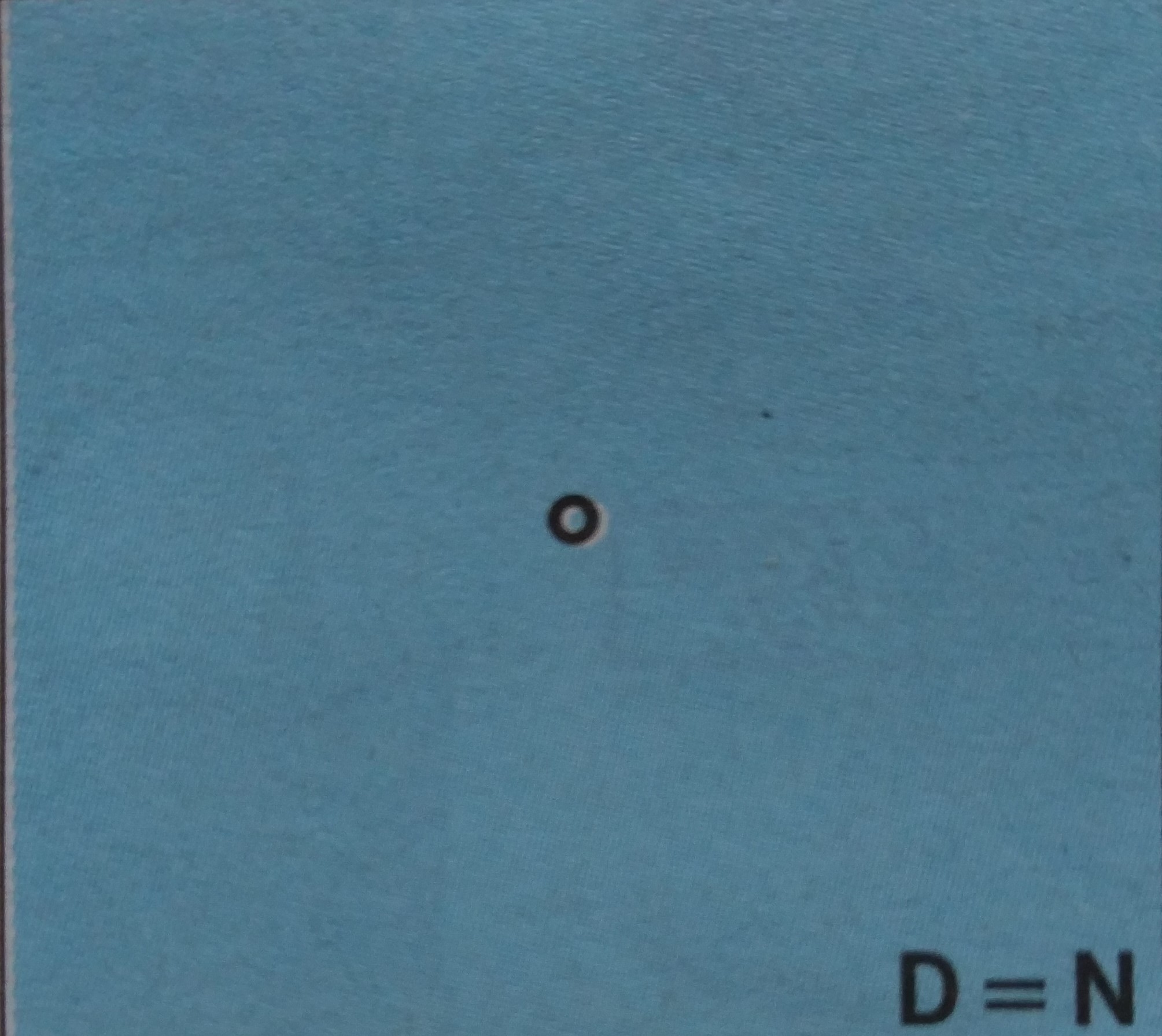 image 33